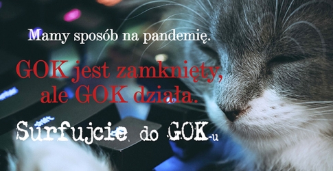 Grafika artykułu: Surfujcie do Gok-u. Zapraszamy.